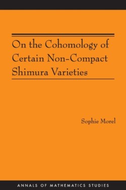 On the Cohomology of Certain Non-Compact Shimura Varieties
