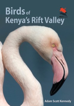 Birds of Kenyas Rift Valley
