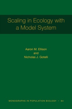 Scaling in Ecology with a Model System