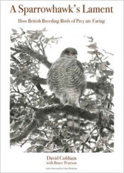 A Sparrowhawks Lament