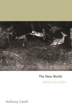 The New World