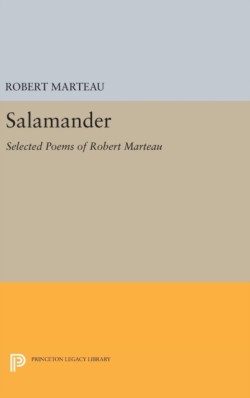 Salamander