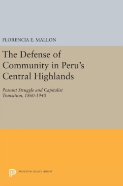 The Defense of Community in Perus Central Highlands