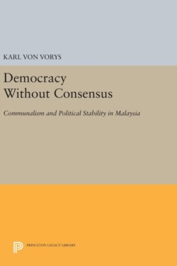 Democracy Without Consensus