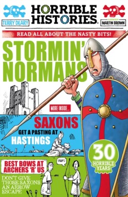 Stormin Normans (newspaper edition)