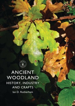 Ancient Woodland