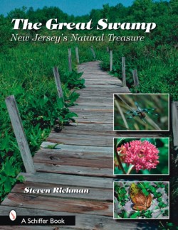 The Great Swamp