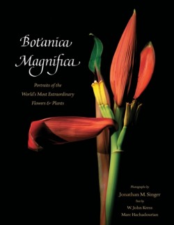 Botanica Magnifica: Portraits of the Worlds Most Extraordinary Flowers and Plants