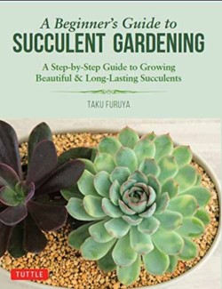 A Beginners Guide to Succulent Gardening