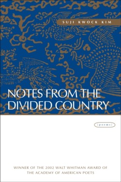 Notes from the Divided Country
