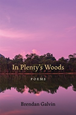 In Plentys Woods