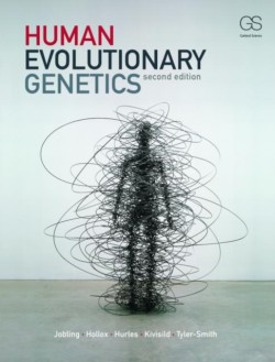 Human Evolutionary Genetics