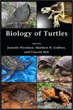 Biology of Turtles