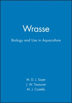 Wrasse