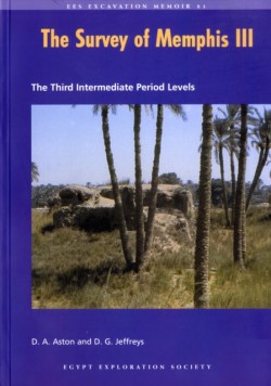 The Survey of Memphis III