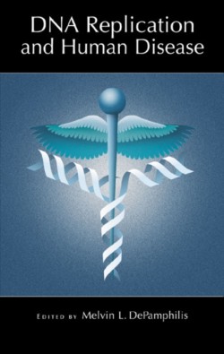 DNA Replication and Human Disease