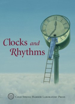 Clocks and Rhythms