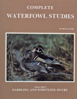 Complete Waterfowl Studies