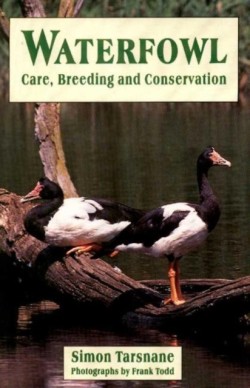 Waterfowl