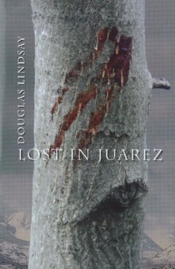 Lost in Juarez