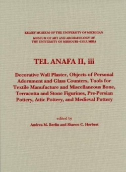 Tel Anafa II, iii