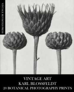 Vintage Art
