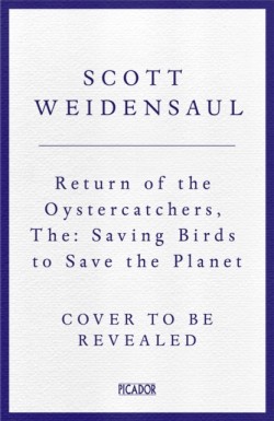 The Return of the Oystercatcher