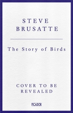The Story of Birds
