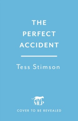 The Perfect Accident