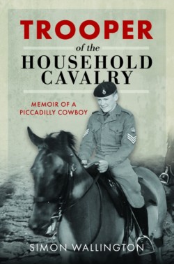 Trooper of the Household Cavalry