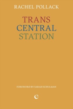 Trans Central Station
