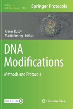 DNA Modifications