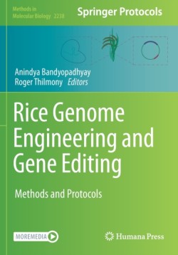 Rice Genome Engineering and Gene Editing