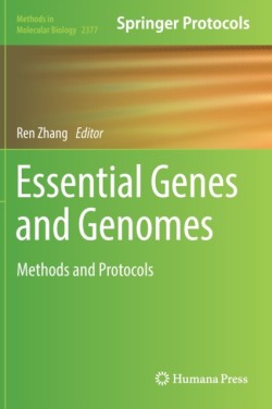 Essential Genes and Genomes
