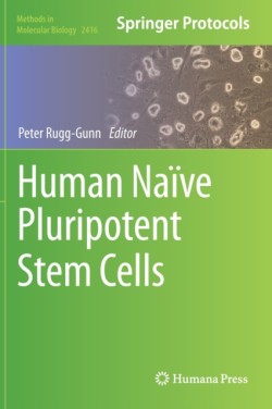 Human Naive Pluripotent Stem Cells