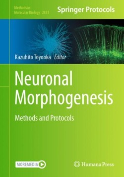 Neuronal Morphogenesis