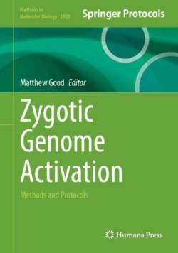 Zygotic Genome Activation