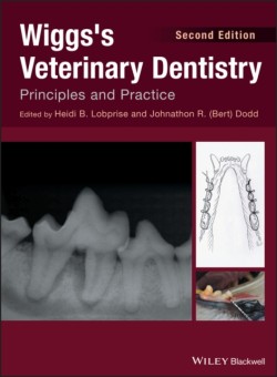 Wiggss Veterinary Dentistry