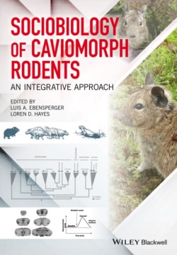 Sociobiology of Caviomorph Rodents