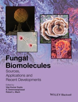 Fungal Biomolecules