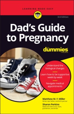 Dads Guide to Pregnancy For Dummies