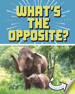 Whats the Opposite?
