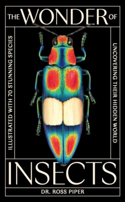 The Wonder of Insects: Uncovering their Hidden World
