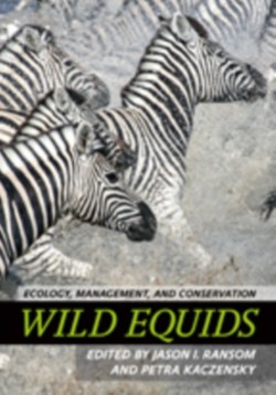 Wild Equids