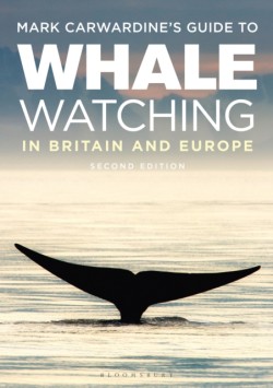 Mark Carwardines Guide To Whale Watching In Britain And Europe
