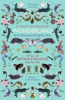 Wonderland