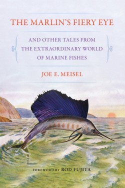 The Marlins Fiery Eye and Other Tales from the Extraordinary World of Marine Fishes