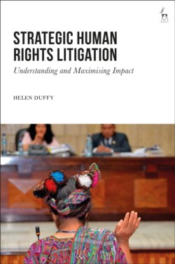 Strategic Human Rights Litigation