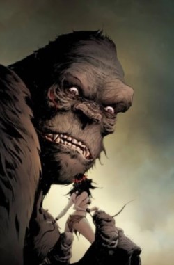 Kong