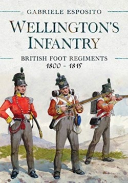 Wellingtons Infantry